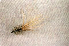 K32 - Ken's BushyTailed Wooly Booger - 2 for $5